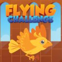 Flying Challenge 3 flying challenge 1