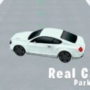 Real Car Parking 3D 10 real car parking 3d